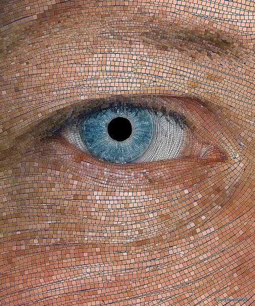 Photograph Larry Hamill Eye Mosaic on One Eyeland